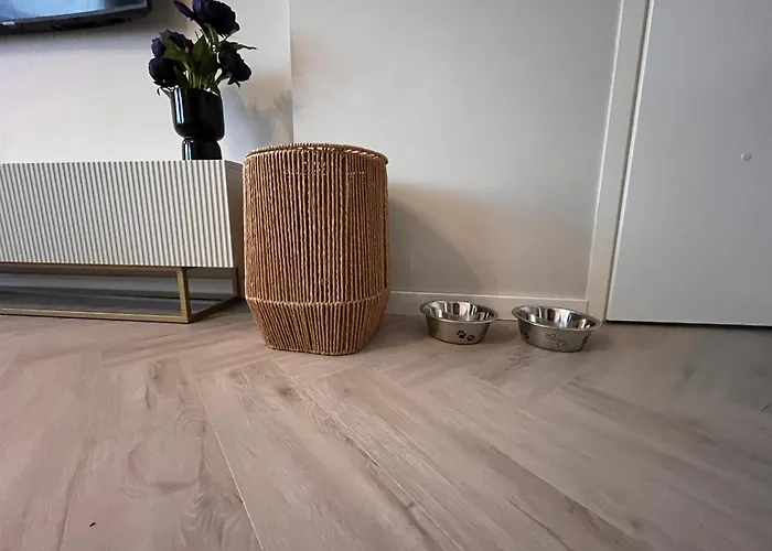 Studio Lage Rijndijk
