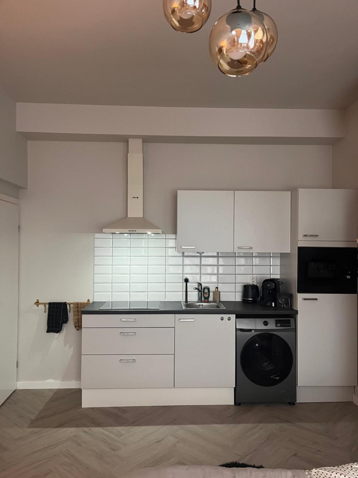 Lage Rijndijk Apartment Leiden